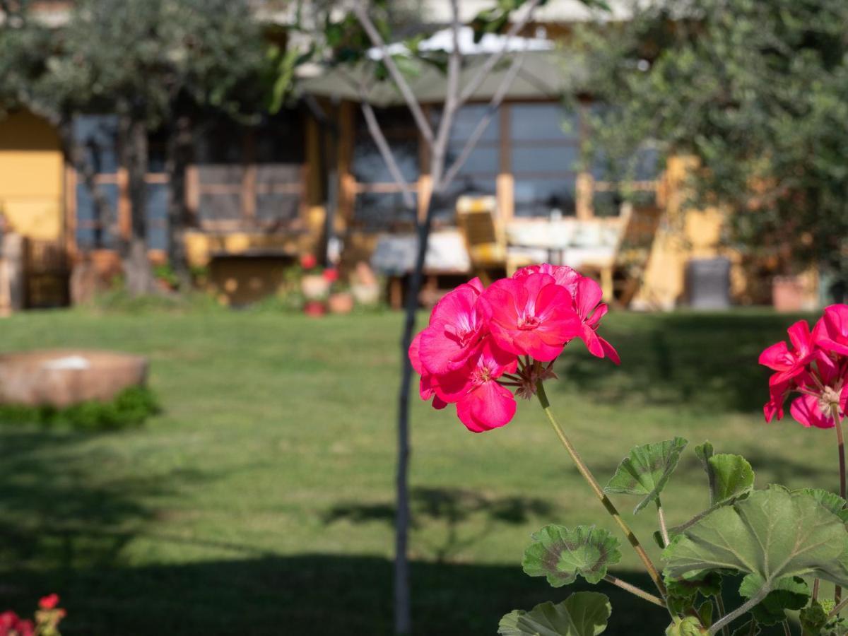 B&B Casa Decimo Greve in Chianti Exterior foto